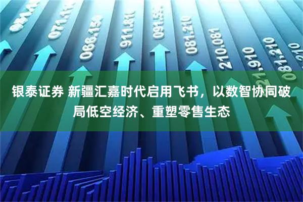 银泰证券 新疆汇嘉时代启用飞书，以数智协同破局低空经济、重塑零售生态