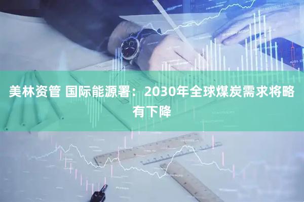 美林资管 国际能源署：2030年全球煤炭需求将略有下降
